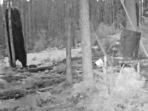 Image description
