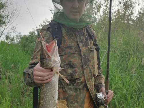 Порыбачил