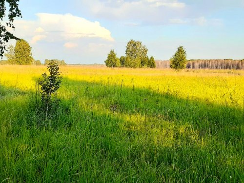 Жаркий день в июне...