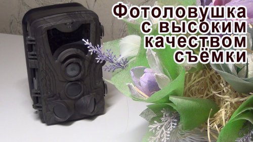 Фотоловушка с высоким качеством съёмки