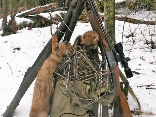 410-й - охотничий калибр!