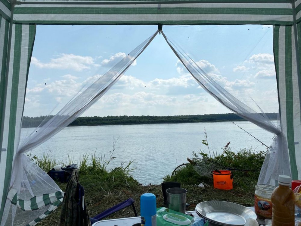 Отдыхаем