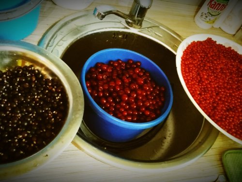 Сад выручает