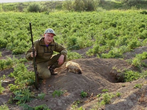 Первый сурок сезона 2020г.