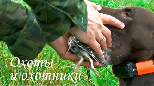 Скоро! Две недели всего осталось :)