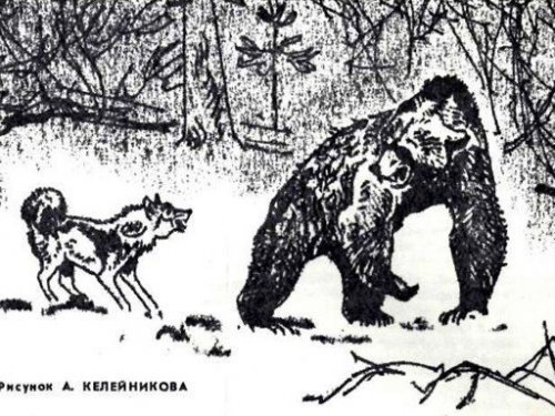 Стот