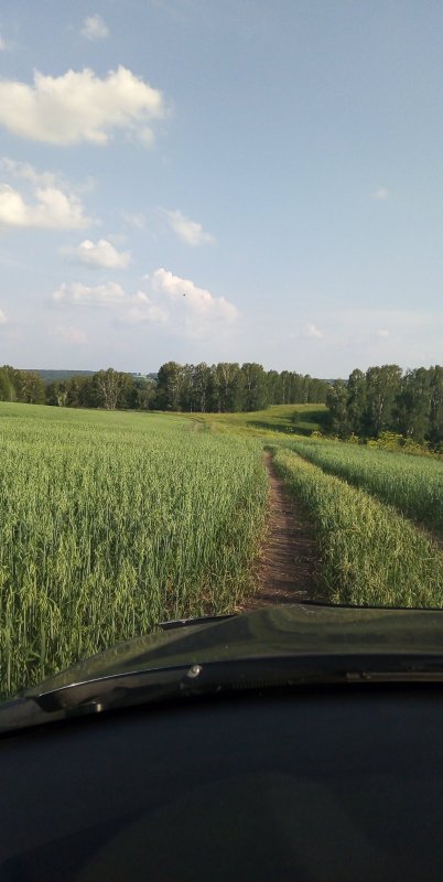Красота