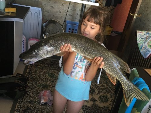 Доча в шоке
