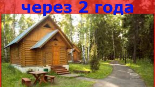 Дом в лесу из опила, спустя 2 года