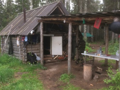 На Сибирских просторах
