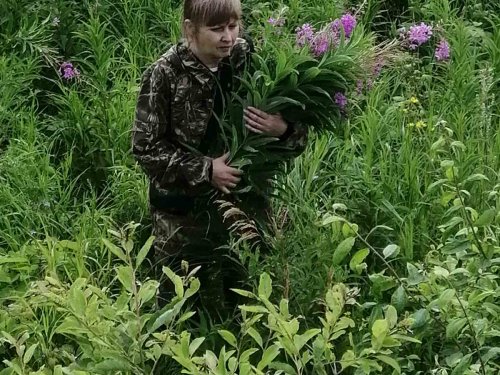 Гадюкина поляна!!!