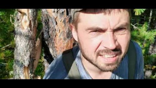привада на медведя