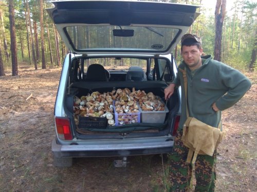 На пару часов