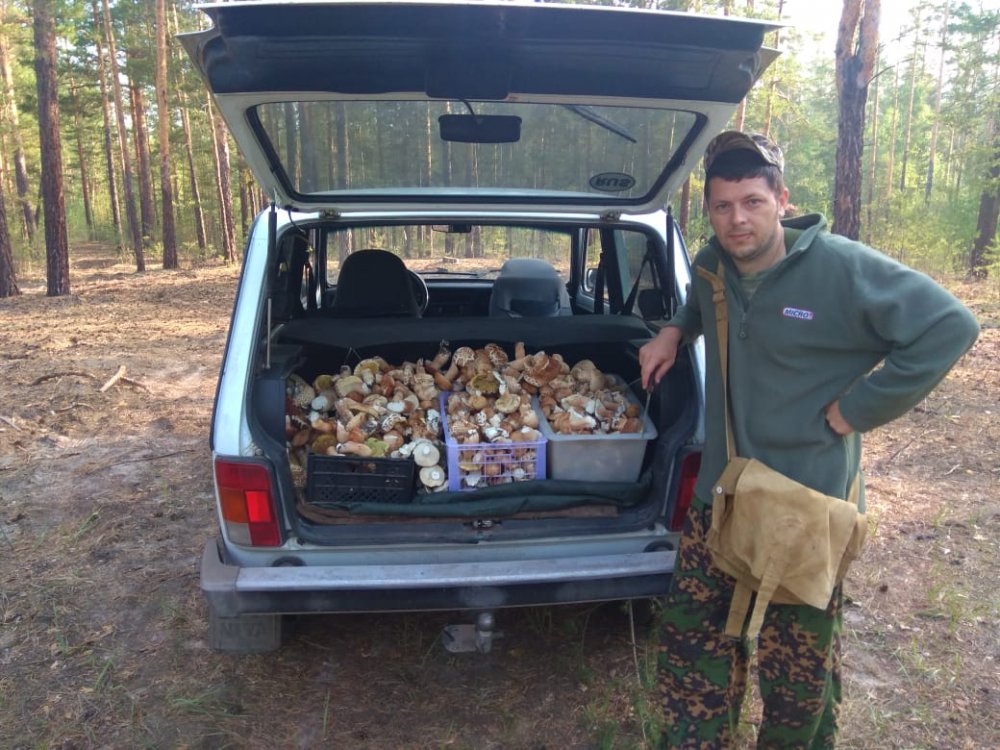 На пару часов