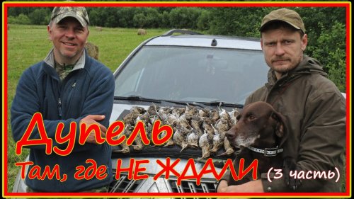 Горный дупель :) - охота на высыпках в Кировской. Часть 3.