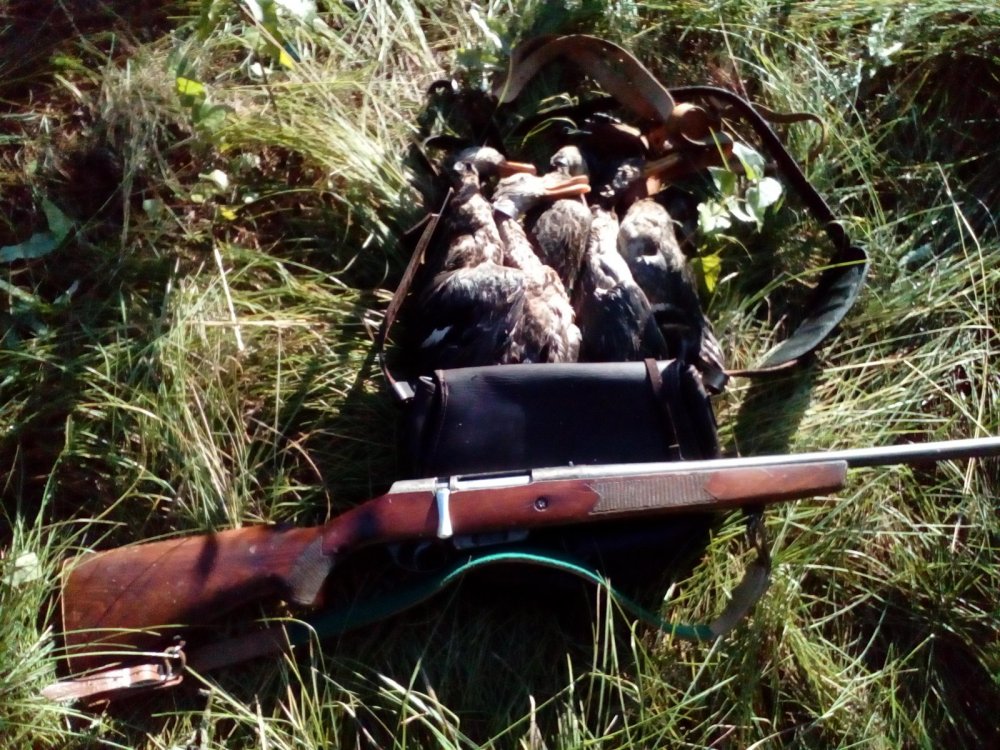 Мц 20-01