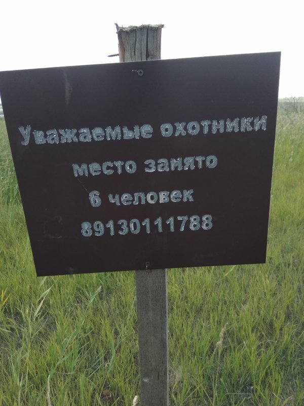 За или против???