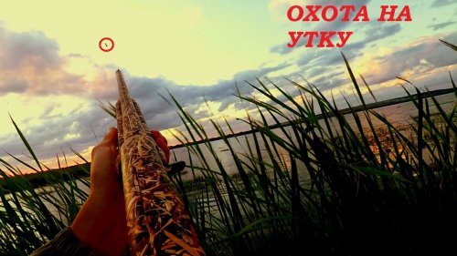 охота на утку 2020!!! новое место и очень много уток / MAX HUNTER