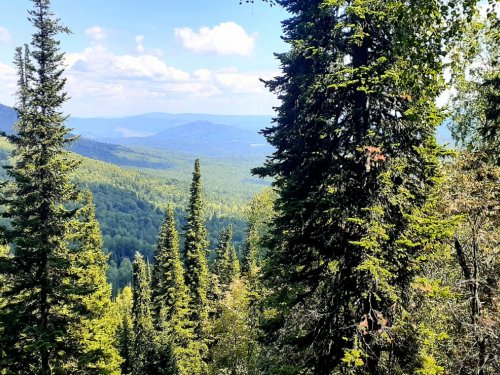 В горах Алтая.