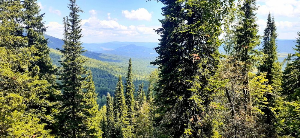 В горах Алтая.