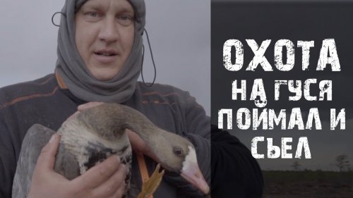 Охота на гуся 2020 Архангельск.Весна.