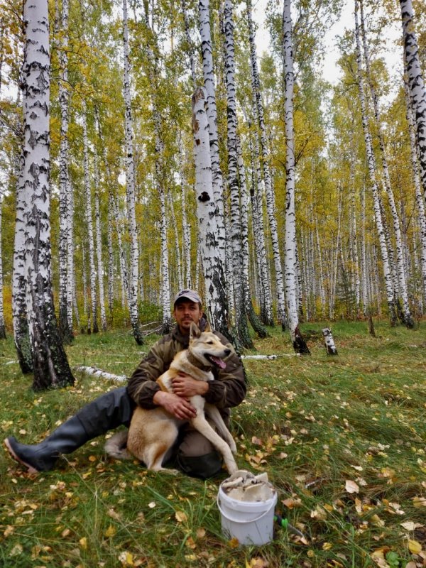 Осень
