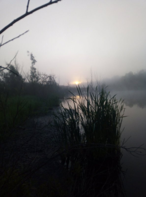 Утрянка