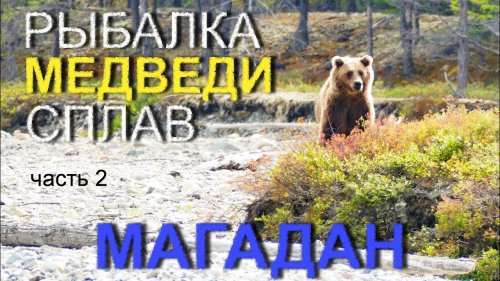 ВСТРЕТИЛ МЕДВЕДЯ, а в руках только спиннинг.