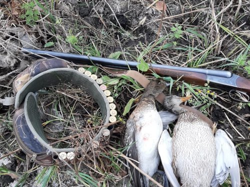 Добыча напарника...