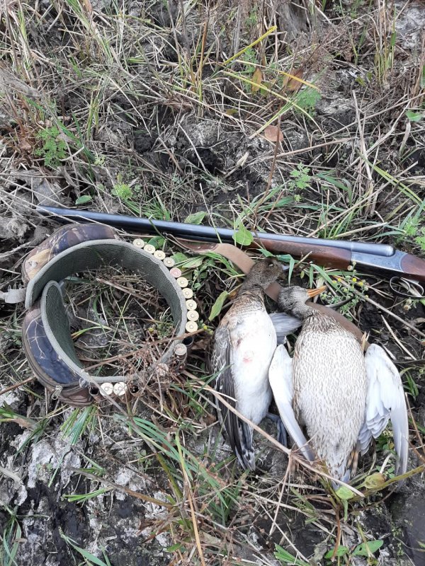 Добыча напарника...