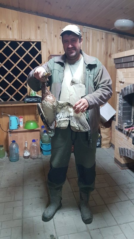 Кряк особенного ценый