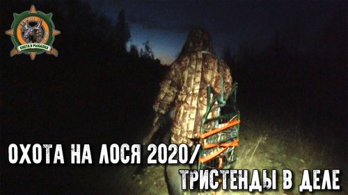 Охота на лося 2020/Идеальная погода для гона/Проверка самодельных тристендов