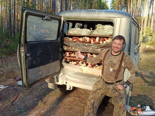 Дома будут рады)