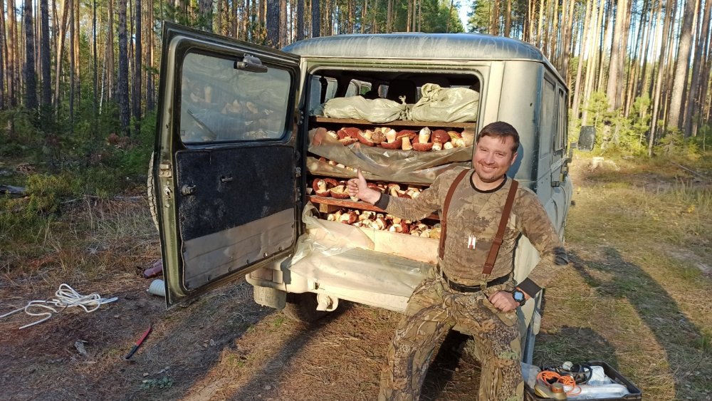 Дома будут рады)