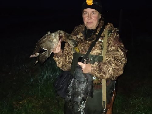 Долгожданный селезень кряквы.