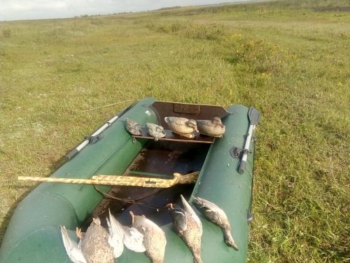 09.09.2020. Алтайский край