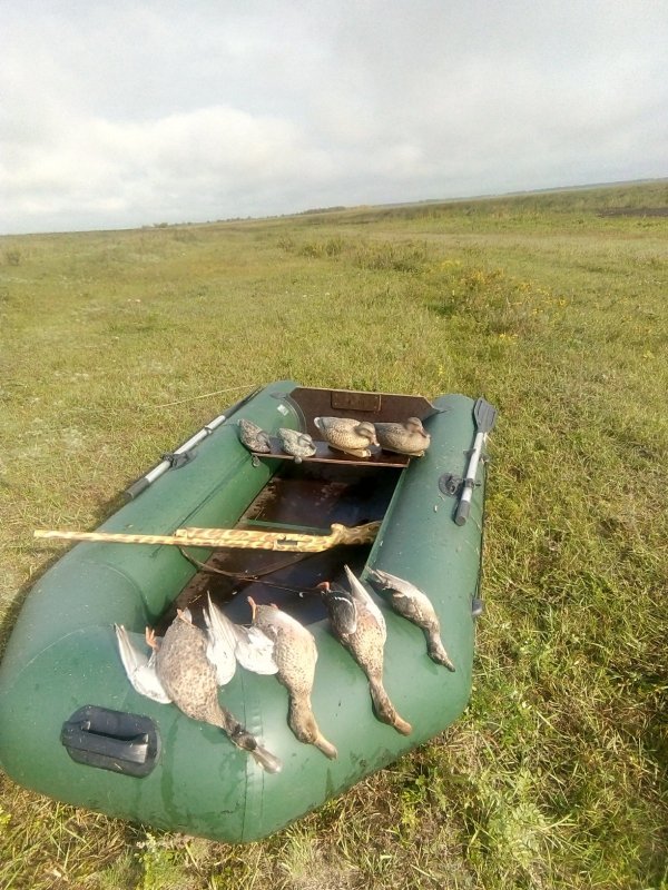 09.09.2020. Алтайский край