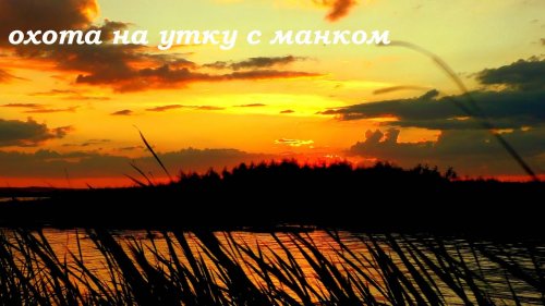 ООхота на утку или как на меня напали комары. ОХОТА НА УТОК 2020 / MAX HUNTER