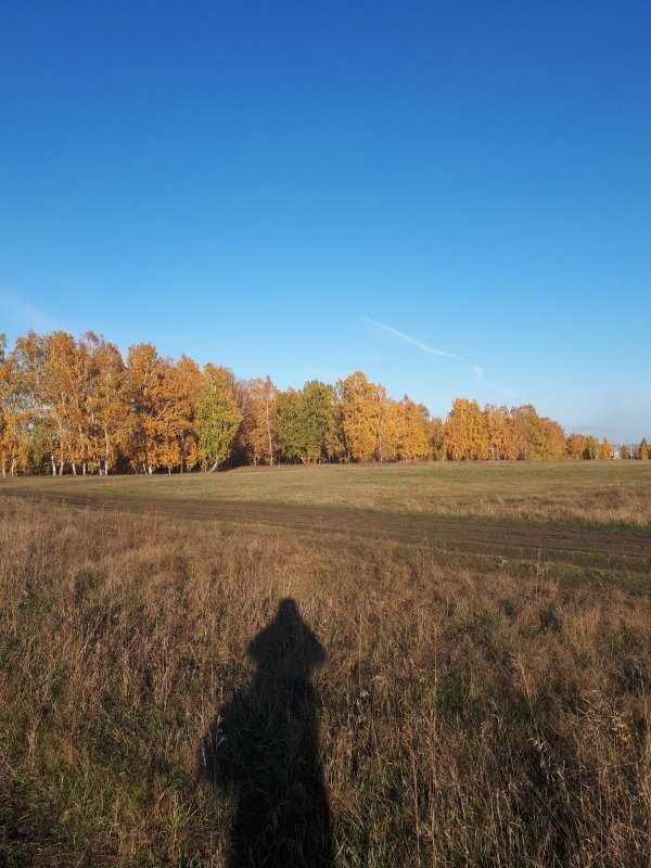 Осенняя пора.....