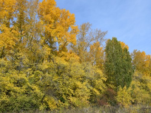 Осень.