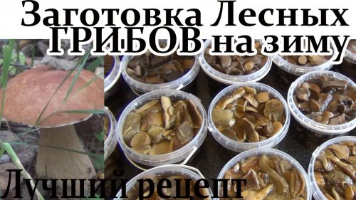 Лучший рецепт Заготовки Лесных Грибов на зиму