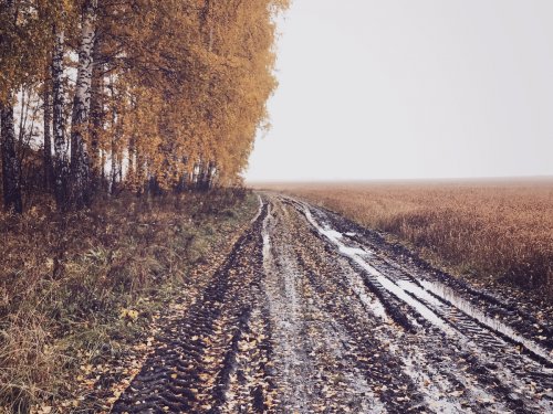 Осень