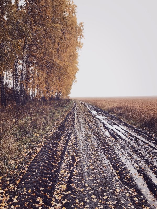 Осень