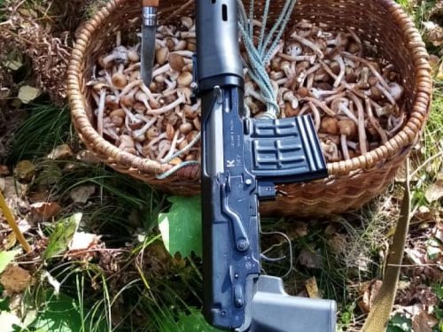 Просто красиво.
