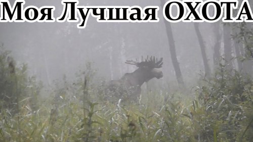 Самая лучшая охота