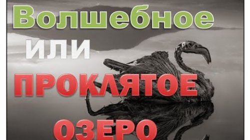 Волшебное озеро оказалось проклятым? Охота 2020. Итоги розыгрыша.