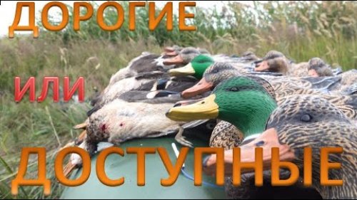 Отличная охота с доступными чучелами. НА ОХОТЕ С ЧУЧЕЛАМИ УТОК SOFTPLAST + Розыгрыш чучел