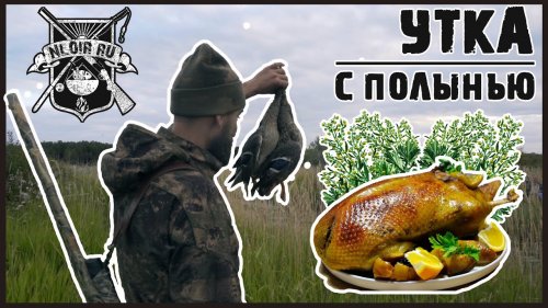 Охота на Утку  готовим Утку с Полынью