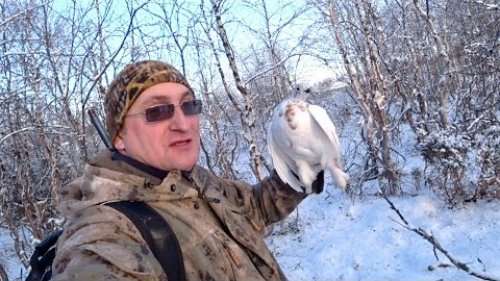 ОХОТА НА БЕЛУЮ КУРОПАТКУ / ОХОТА В ТУНДРЕ