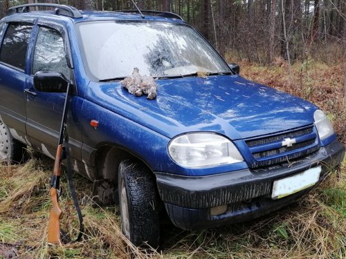 Боевой конь